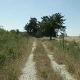 Questo si legge su una lapide sperduta nell�erba alta della campagna di Spinazzola...